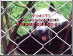 養(yǎng)雞鐵絲網(wǎng)圍欄圍墻鐵絲網(wǎng)圍山鐵絲網(wǎng)山地放養(yǎng)家禽鋼絲網(wǎng)養(yǎng)殖圍網(wǎng)