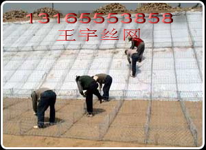 供應石籠網(wǎng)廠家，石籠網(wǎng)，格賓網(wǎng)，雷諾護墊，石籠網(wǎng)規(guī)格，石籠網(wǎng)價格
