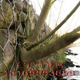 格賓網(wǎng)箱廠【格賓擋墻【護(hù)坡格賓網(wǎng)【格賓墊【鍍鋅格賓網(wǎng)箱【王宇格賓網(wǎng)