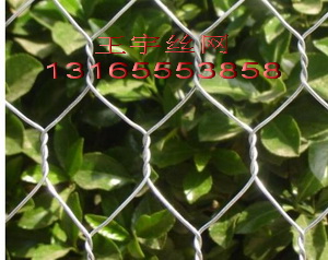 水利工程石籠網(wǎng)，石籠網(wǎng)擋土墻，六角石籠網(wǎng)，勾花石籠網(wǎng)，石籠網(wǎng)護(hù)墊