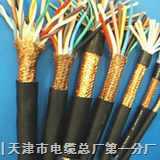 計算機電纜DJYVP2,屏蔽信號電纜DJYVP2