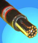 NHVV22聚氯乙烯絕緣聚氯乙烯護(hù)套鋼帶鎧裝耐火電力電纜