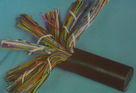 HYA200x2x0.4 HYA200x2x0.5 大對數(shù)電纜