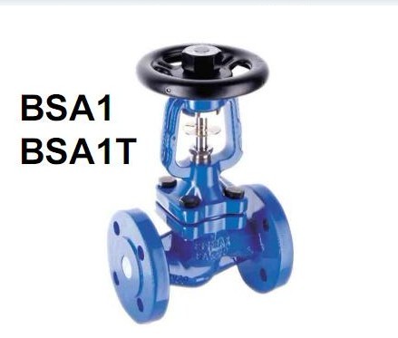 BSA1ֹy Ӣ(gu)SpiraxSarco(˹ɯ)