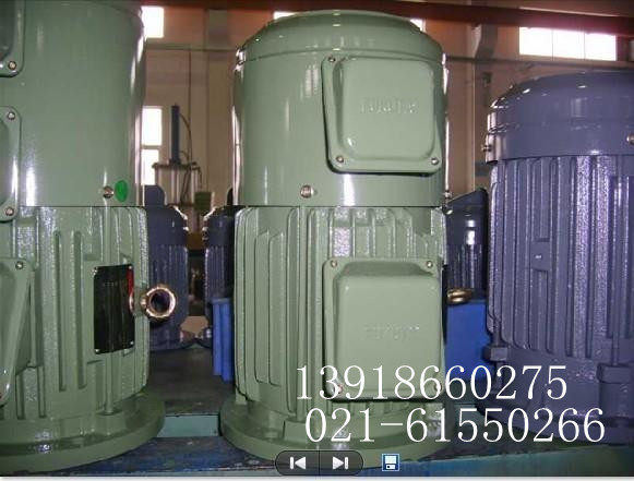 YVF2-90L-4電機(jī)|YVF2-90L-4變頻電機(jī)（圖）