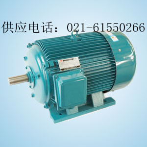 YS6324電機/YS6324電機價格（產(chǎn)品圖）