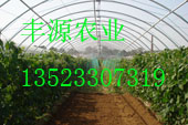 蔬菜大棚骨架機，新型蔬菜大棚，安陽豐源農(nóng)業(yè)