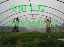 大棚支架機，花卉大棚支架機，安陽大棚骨架機，安陽豐源