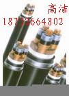 CEFR船用電力電纜 CEFR石油平臺(tái)橡套電力電纜，CEFR橡套