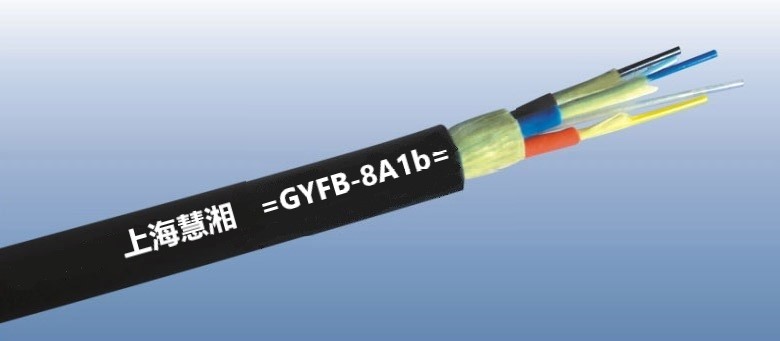 GYFB-8A1b    8оģҰ(zhn)ҷ|