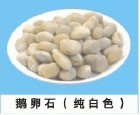 邯鄲用于工業(yè)污水處理鵝卵石濾料價格 邯鄲用于工業(yè)污水處理鵝卵石濾料廠家