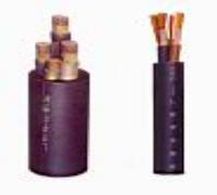 CEFR船用電纜 CEFR型號(hào)電纜 CEFR電纜價(jià)格