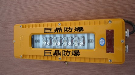 DGS10/127L(A)礦用隔爆型LED巷道燈，10W巷道燈，127V巷道燈