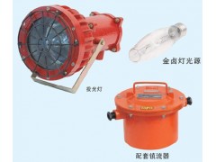 DGC175/127B礦用隔爆型投光燈，175W防爆投光燈，礦用投光燈