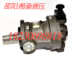 SY-80SCY14-1ELF(xin)؛
