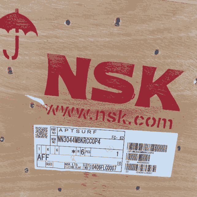 ձNSKԭbNN3044MBKRCCOP4MpЈALS