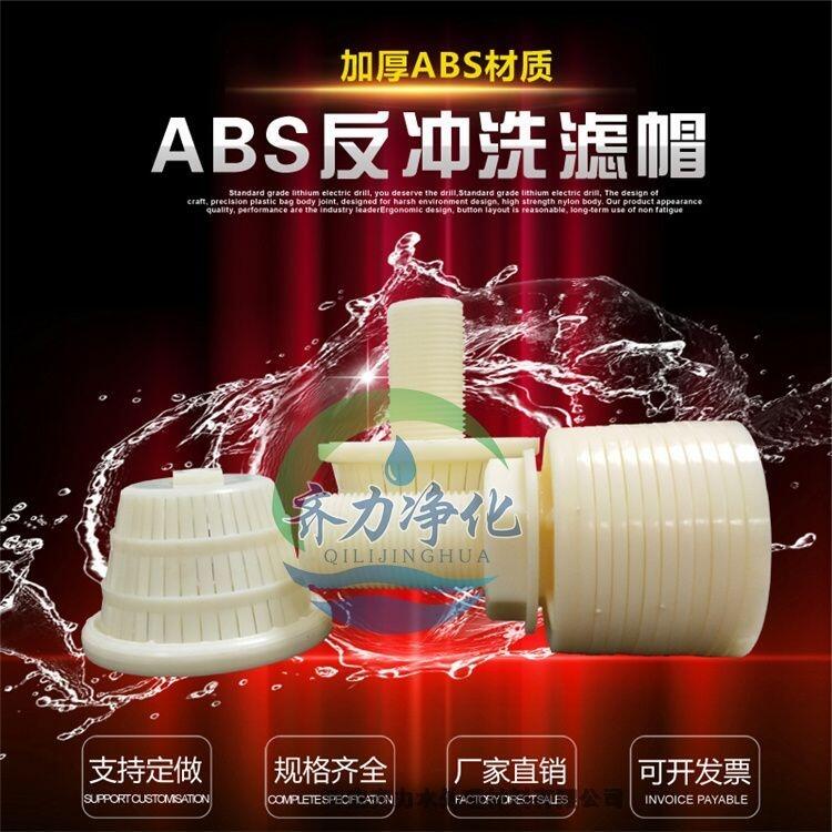 衡水多介質(zhì)過(guò)濾器濾帽廠家價(jià)格