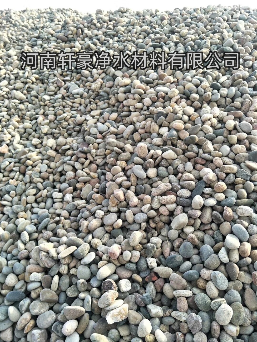 (ni)ɹʡZʯҪ;