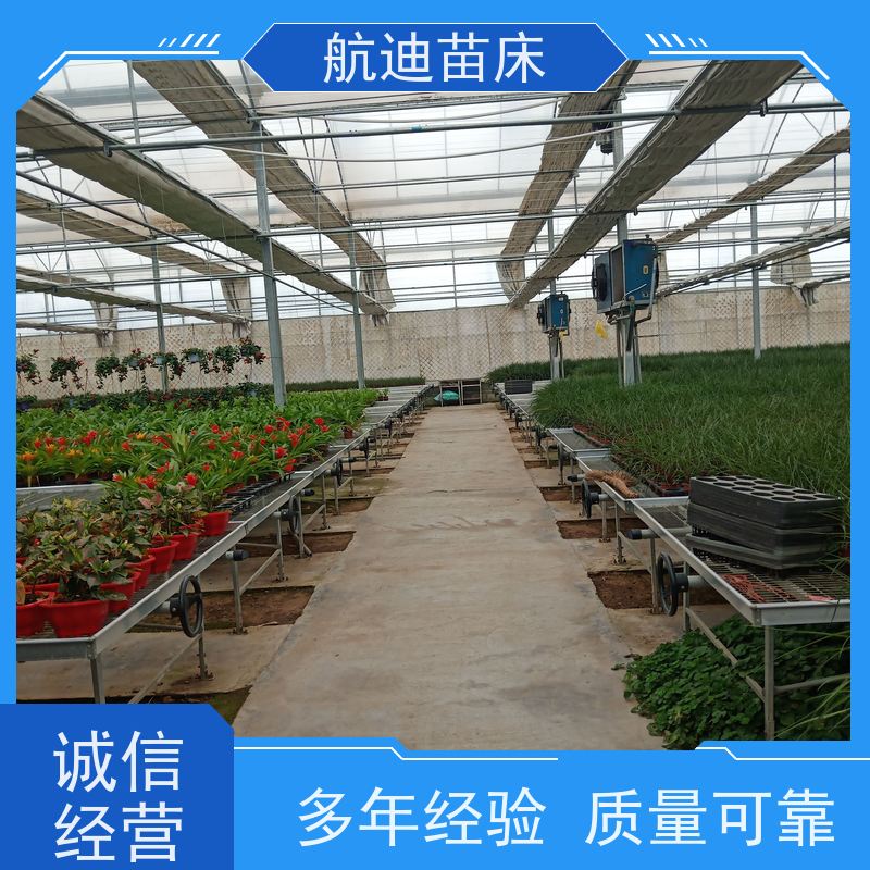 移動(dòng)苗床：輕松打造專業(yè)育苗基地