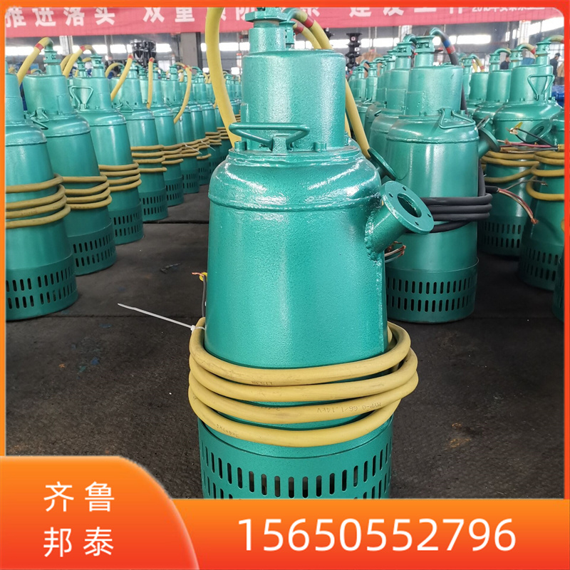 供應(yīng)BQS20-50-7.5煤礦用防爆排沙電泵抽污泵