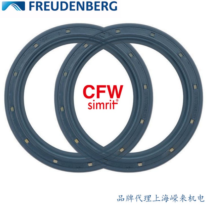 V|ǼͷFREUCENBERG ̙C(j)pC(j)(gu)ԭbM(jn)