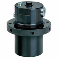 (yu)(sh)(yng)CINDY 12-B-PNS-S045-A-D16-1