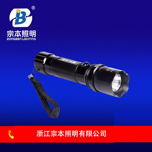 登島應(yīng)急照明 JW7621，登陸釣魚(yú)島照明設(shè)備