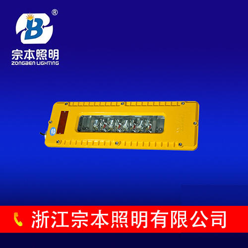 供應：DGS10/127L（A）：DGS10/127L（A）礦井燈