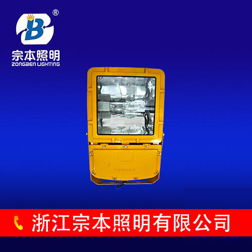 BFC8110防爆泛光燈，熱，供應(yīng)BFC8110防爆泛光燈