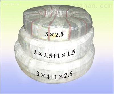 CEFR/SA船用橡套電纜 3X2.5+1X1.5