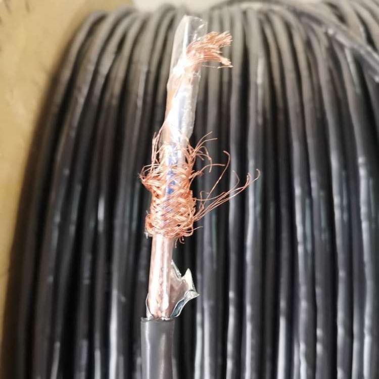 耐火鎧裝電纜NH-DJYVP22  計算機電纜300/500V