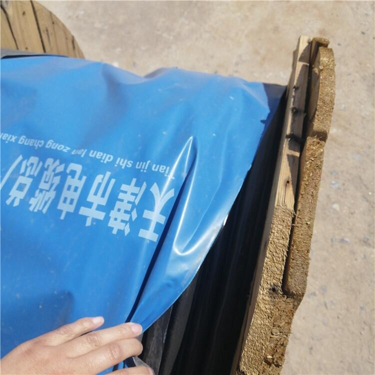 肇慶市ZR-DJYVP22電纜計算機電纜銀順牌