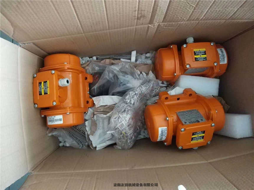 現(xiàn)貨供應ITALVIBRAS MVSI3/100-S02振動電機