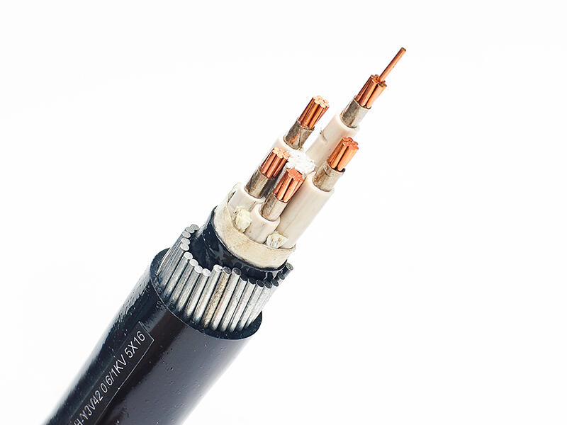 WDZCN-RYJS-2*4 WDZCN-RYJS-2*2 -2*1電線(xiàn)
