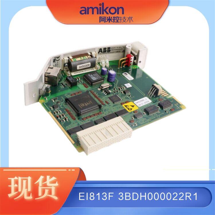 9點(diǎn)T8442C TMR PI 模塊 ICS