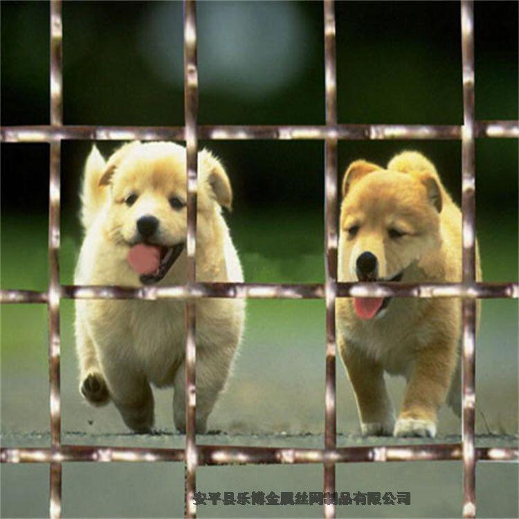 河北鋼絲編織篩網(wǎng)廠家供應(yīng)貴州工礦窩邊鋼筋編織網(wǎng)貴陽(yáng)8個(gè)粗編織折彎網(wǎng)片