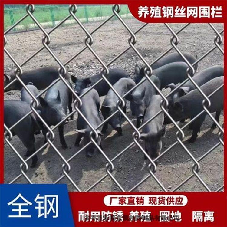 河北鍍鋅菱形編織網(wǎng)廠家供應(yīng)鐵嶺綠化菱形勾花網(wǎng)朝陽戶外菱形護欄
