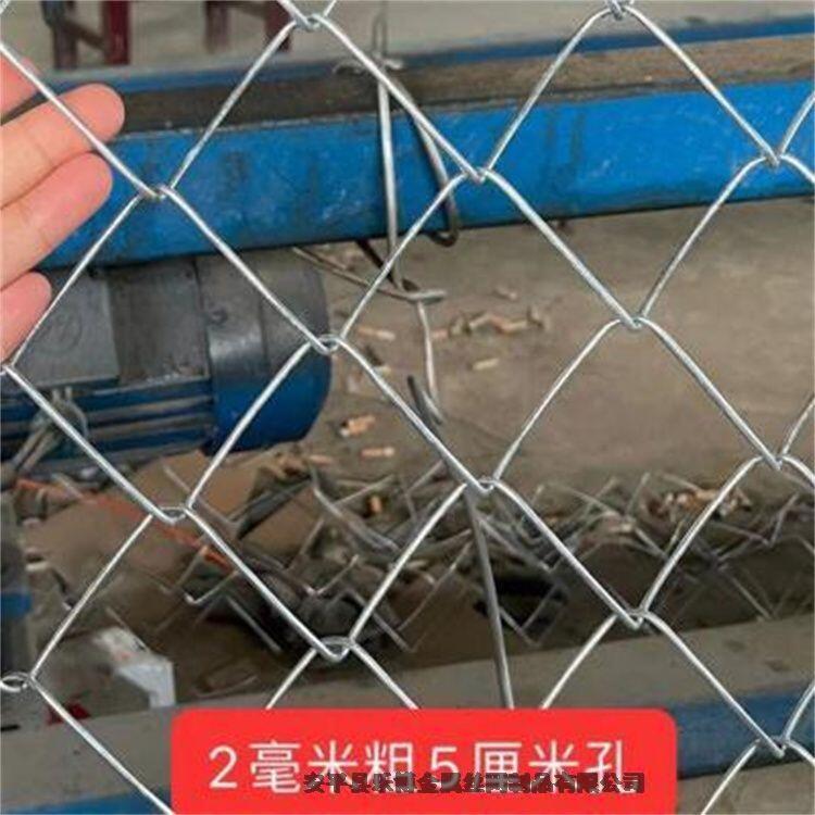 河北鍍鋅菱形編織網廠家供應遼陽體育場包塑勾花盤錦鍍鋅養(yǎng)殖鐵絲網