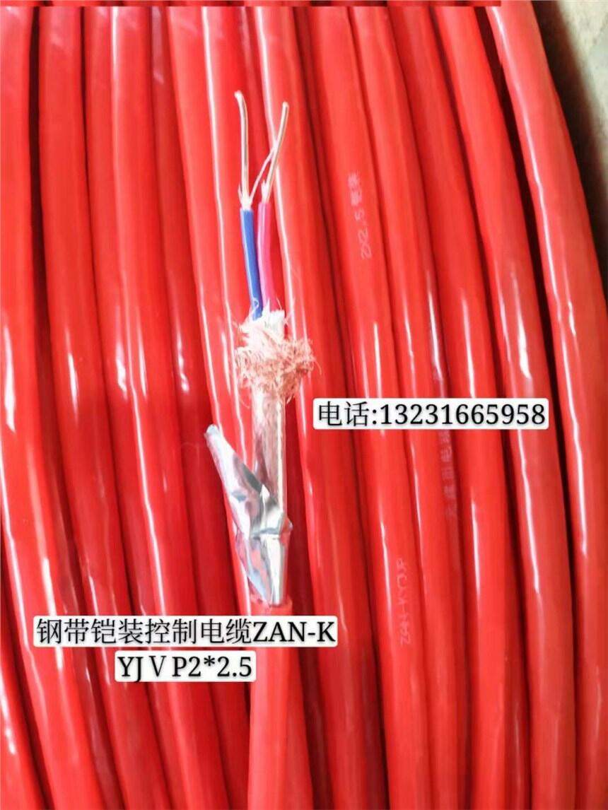 ؑczbͨ|ZR-HYAT53-100X2X0.5(lin)