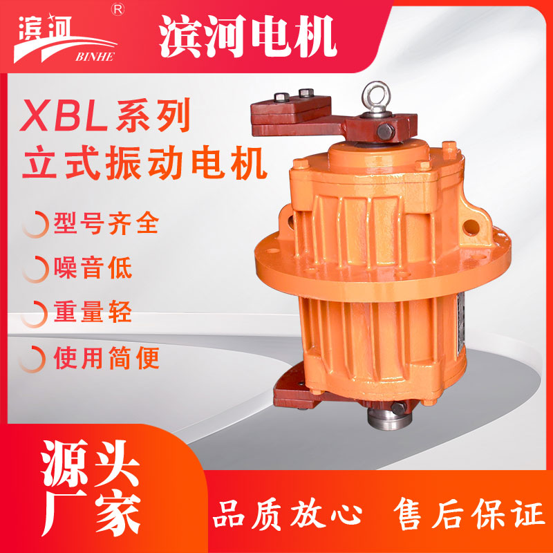 XBL系列立式法蘭式振動電機新鄉(xiāng)濱河電機