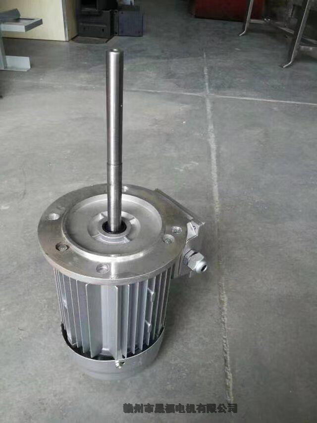 耐高溫180度/200度/250度/300度/500度的長軸電機(jī)耐高溫加長軸電機(jī)