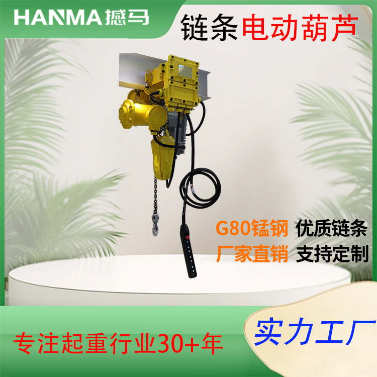 粉塵防爆電動(dòng)葫蘆 1噸單鏈固定掛鉤式電葫蘆 電動(dòng)葫蘆升降機(jī) 辰力生產(chǎn)廠家