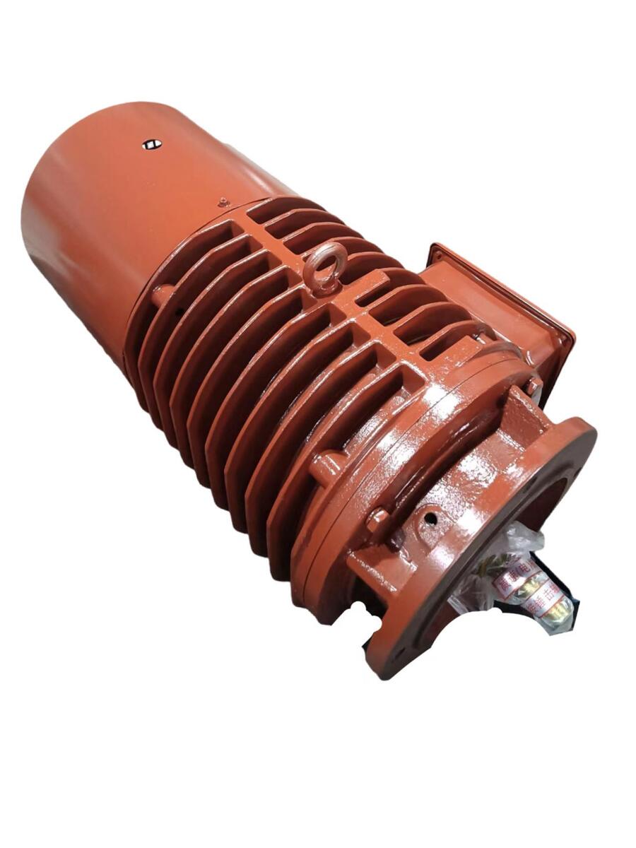 德立立式輥道電機運輸用變頻調(diào)速電磁制動三相異步電動機 YGPEJ13