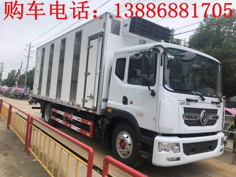 生豬運輸車視頻