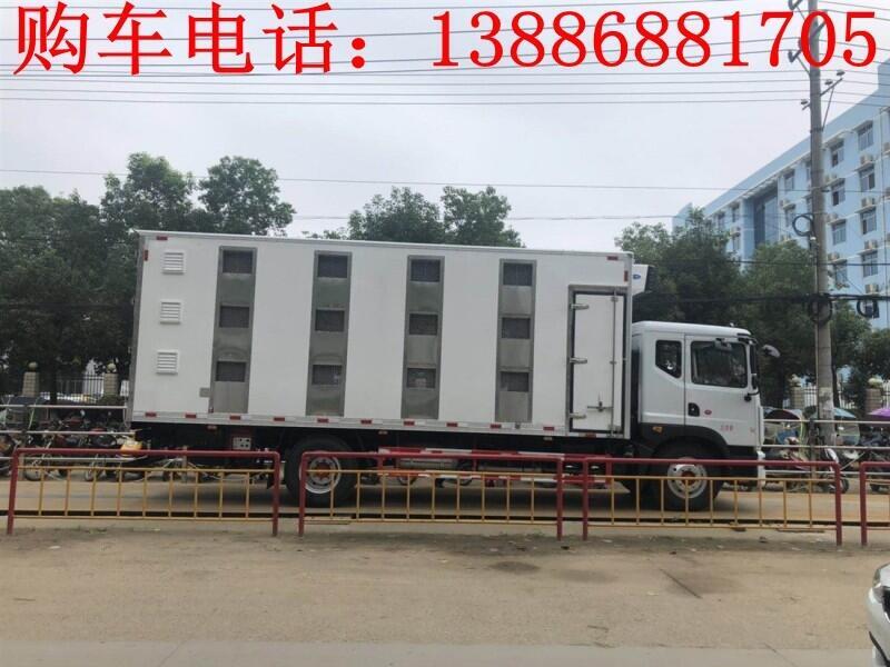 拉豬運(yùn)輸車價(jià)格