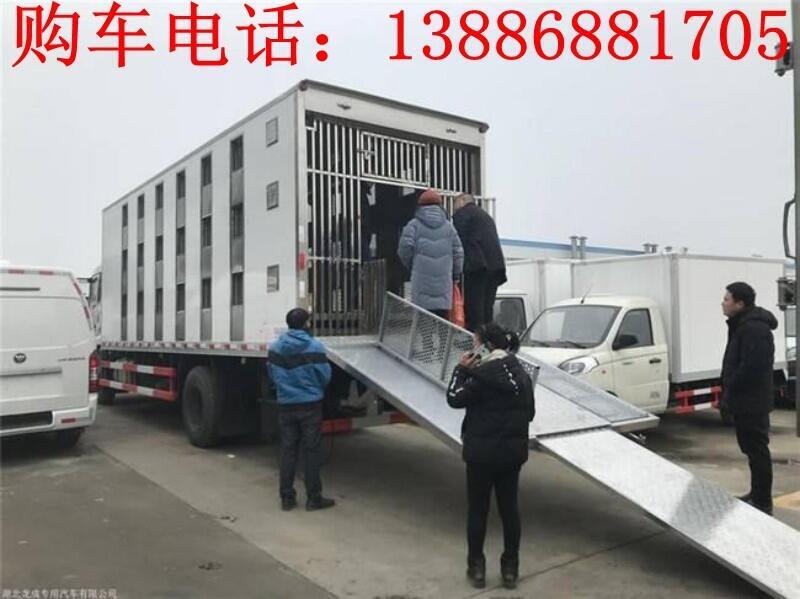 上海升降豬仔運輸車價格