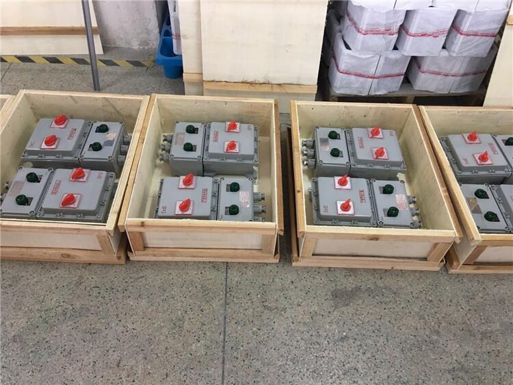 防爆儀表配電箱 防爆配電箱控制照明檢修箱BXMD-T儀表動力開關(guān)柜接線箱