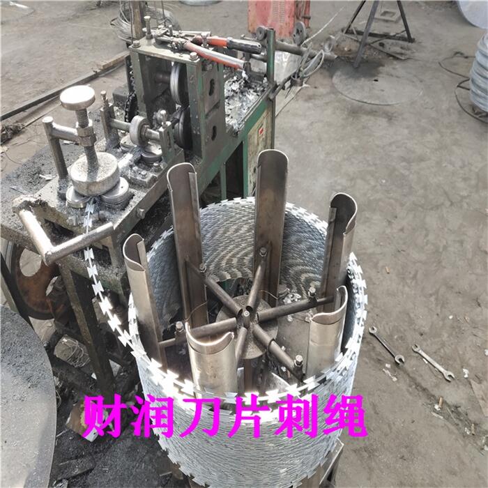 財(cái)潤現(xiàn)貨刀片刺繩生產(chǎn)廠常年供應(yīng)刀片刺繩鍍鋅刀片刺繩