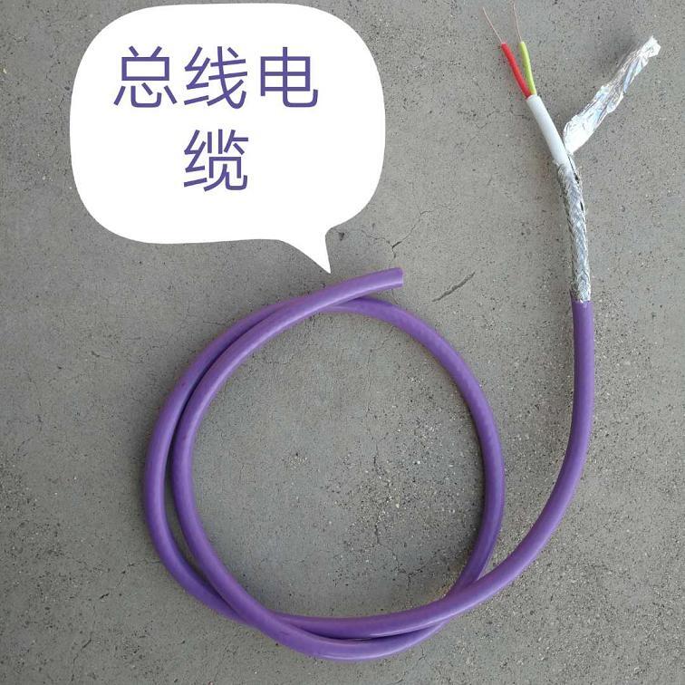 天聯(lián)鎧裝屏蔽控制電纜WD-MKYJY33-15*0.75