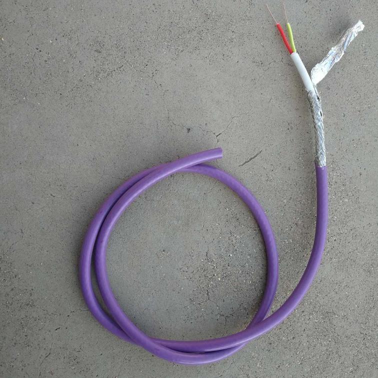 天聯(lián)信號電纜PTYA23-30C
